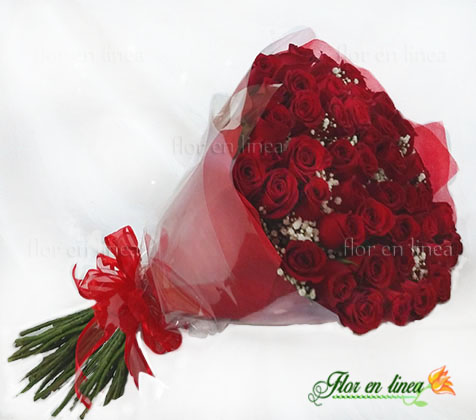 Amor de Rosas 03